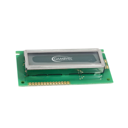 LCM-S01602DSF/B